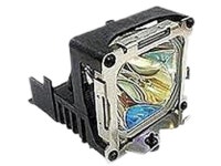 BenQ 5J.J5205.001 Replacement Lamp - Newegg.com