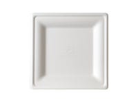 Eco-Products EP-P022NFA Vanguard Renewable and Compostable Sugarcane Plates - Plate - 7.87 x 7.87 - White - 500/Carton - Newegg.com