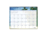 AT-A-GLANCE DMWTE828 Tropical Escape Monthly Wall Calendar, 15 x 12 - Newegg.com