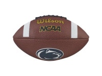 Logo Brands 156-93FC-1 IA State Team Stripe Official-Size Composite Football - Newegg.ca