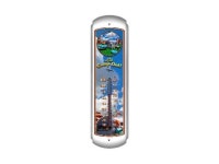 Larry Grossman LG330 5 x 17 in. Camp Out Thermometer - Newegg.ca