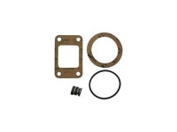 BELL & GOSSETT 180013 Rebuild Seal Kit - Newegg.com
