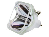 Philips PHI/388 Replacement DLP Bare Bulb (RP-P022-1) with 1 Yr... RP-P022-1&#41; with 1 Yr Warranty Included - Newegg.com