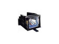 Acer America EC.J4800.001 OEM Replacement Lamp - Newegg.com