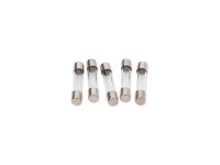 RoadPro 2 Amp AGC Fuses 5-Pack Glass Fuses - Newegg.com