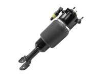 UNITY 18-150002 18-150002 Front Right Non-Electronic Air Strut Assembly - Newegg.com