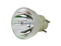 Lutema Platinum for BenQ HT1070 Projector Lamp (Original Philips Bulb) - Newegg.com