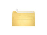 LUX 4 1/8 x 9 1/2 #10 80lbs. Square Flap Envelopes W/Glue Closure Gold Metallic 5360-07-50 - Newegg.com
