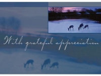 Holiday Greeting Cards - H7055. Business Greeting Card with an Image of Deer in Winter. Box Set Has 25 Greeting Cards and 26... 
