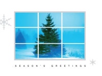 Holiday Greeting Cards - H8009. Greeting Cards with an Image of a Fir Tree Through a Window. Box Set Has 25 Greeting Cards and 26... 
