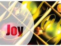 Holiday Greeting Cards - H1206. Greeting Cards with Joy Scripted on the Front with Gold Designs. Box Set Has 25 Greeting Cards... 