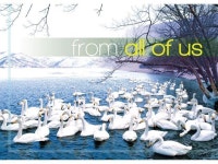 Holiday Greeting Cards - H1001. Business Greeting Card with an Image of Swans on a Winter Pond. Box Set Has 25 Greeting Cards and... 