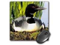 25 Inches Mouse Pad, Loon Duck (mp_709_1) - Newegg.com 3dRose LLC 8 x 8 x 0.25 Inches Mouse Pad, Loon Duck (mp_709_1)... 