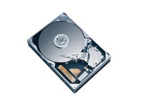 Hitachi HTE721010G9SA00 100GB Hard Drive - Newegg.com