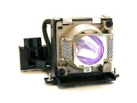60.J5016.CB1 BenQ PB7200 Projector Lamp - Newegg.ca