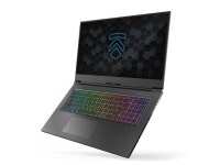 com MAX-17 Ultra Performance 17.3" Gaming Laptop PC: Liquid Metal Intel i7-10875H 8 Core NVIDIA GeForce RTX 2070 Super... 