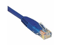 Tripp Lite N002-010-BL Cat5e Molded Cable RJ45 M/M Blue, 10 (TRPN002010BL) - Newegg.com