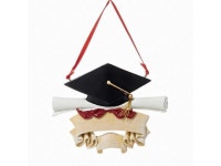 Graduate Resin Christmas Tree Ornament A0657 New Graduation - Newegg.ca Graduate Resin Christmas Tree Ornament A0657 New... 