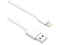 Axiom LGMUSBAMW03-AX Lightning To Usb-A M/M Adapter Cable - Black 3Ft - Newegg.com
