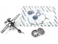 Wiseco - WPC117 - Complete Bottom End Rebuild Kit - KX65 `00-05 - Newegg.com Wiseco - WPC117 - Complete Bottom End Rebuild Kit... 