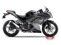EX300R Ninja 300 ZX300R 2013 2014 EX300R ZX300R 13 14 Motorbike Racing Fairing
Decal (Silver & Red) - Newegg.com