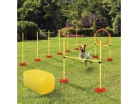 Outdoor 4 PC Dog Pet Agility Training Garden Starter Obstacle Set for Dog - Newegg.ca Outdoor 4 PC Dog Pet Agility Training... 
