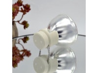 High brightness Projector Bare lamp 5811117576-SVV BULB P-VIP190/0.8 E20.8 for Vivitek D516/D517/D518/D519 - Newegg.com