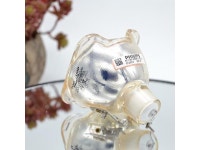 Qriginal 5J.J3905.001 Projector Bare Lamp Bulb for BENQ W7000 W7000+ - Newegg.com