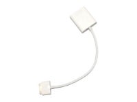 Refurbished: Genuine Apple A1368 MC552ZM/B VGA 30-pin Cable Adapter for iPad iPhone iPod OEM - Newegg.com