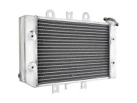 NICHE Radiator for Polaris Predator 500 1240130 - Newegg.com