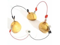 DIY Potato Powered Fruit Digital Clock Kit For Kids Children Science Learning Experience Toys - Newegg.com