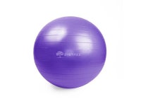Purple Yoga Ball 55 Small - Newegg.com