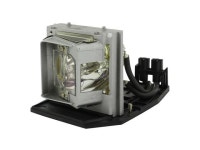 Advanced Lamps EC.J6400.002 Lamp & Housing for Acer Projectors - Fits P7290, EC.J6400.002 - 1 Unit Per Pack - 90-Day Warranty... 