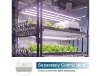 Barrina T5 Grow Lights for Indoor Plants, Full Spectrum Grow Light, 2ft 80W (8 x 10W), Plant Lights for Indoor Plants Growing... 