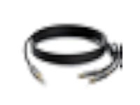 HiFind 3.5mm to 2 RCA Stereo Audio Cable 10 Ft (Real Hi-Fi Sound-Silver Plated Copper-Spring SR-Braided) 3.5 mm 1/8 TRS Male to... 