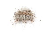 1000pcs 1/6W 330 Ohm Axial Electronic Components Carbon Film Resistor - Newegg.ca 1000pcs 1&#47;6W 330 Ohm Axial Electronic... 