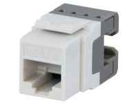 DataComm 20-3426-WH Keystone Cat 6 Keystone Jack White - Newegg.com