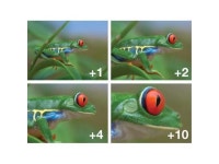 82mm Close-Up Filter Set (+1, 2, 4 and +10 Diopters) Magnification Kit for Canon EF 16-35mm f/2.8L, EF 24-70mm f/2.8L Lenses... 