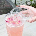 PET Lids Flat Lid Fits 32 oz Cold Cups Plastic Clear 600/Carton CKCL1045 - Newegg.com