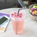 PET Lids Flat Lid Fits 32 oz Cold Cups Plastic Clear 600/Carton CKCL1045 - Newegg.com