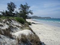 Flipboard의 Vietnam