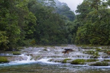  GUATEMALA | Su naturaleza | A sua natureza - Page 196 - SkyscraperCity