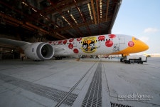  BOEING | 787 News & Discussion (no photos please) - Page 285 - SkyscraperCity