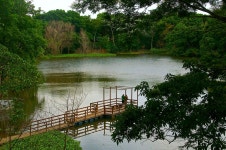 ORO | JARDÍN BOTÁNICO CRUCEÑO | BOLIVIA | Skyscraper City Forum ORO | JARDÍN BOTÁNICO CRUCEÑO | BOLIVIA