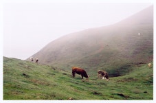  Showcase your provinces varied landscapes - Page 70 - SkyscraperPage Forum