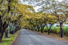  Mauritius - Nature, Landscape & Beaches - Page 5 - SkyscraperCity