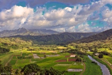  United States of America - One Photo Per Post - Page 1283 - SkyscraperCity