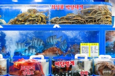 			명가수산 - 서울 > 송파구/한식 | 미식가이드, 포잉		 명가수산 | 미식가이드, 포잉