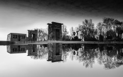 Flipboard의 Black & White