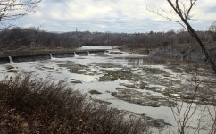 ALBANY: 50 Shades of Overcast - SkyscraperPage Forum